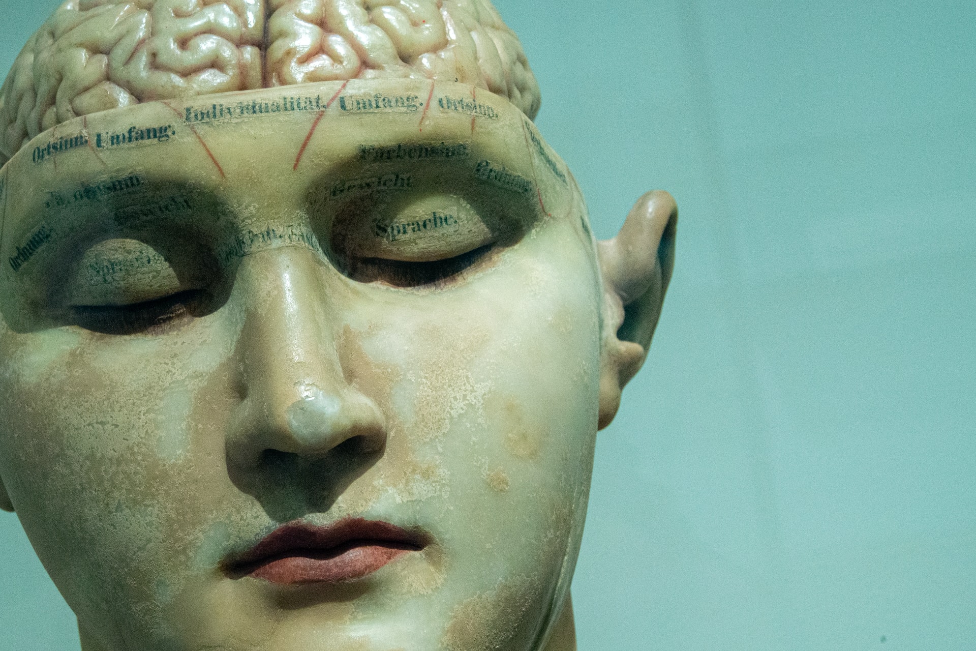 Que nous apprennent les expériences de mort imminente sur le cerveau ?