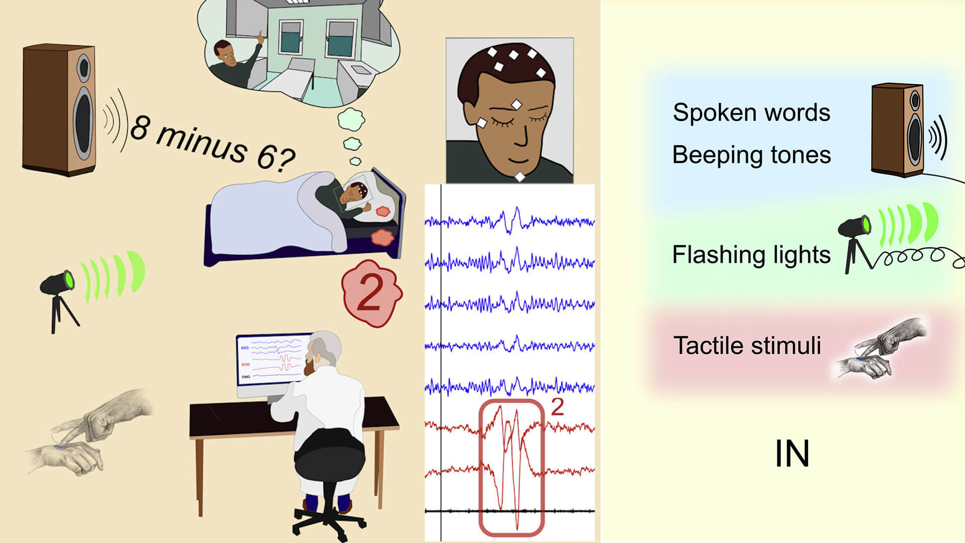 Des scientifiques ont parlé à des dormeurs dans des rêves lucides